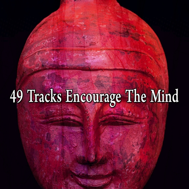 49 Tracks Encourage The Mind