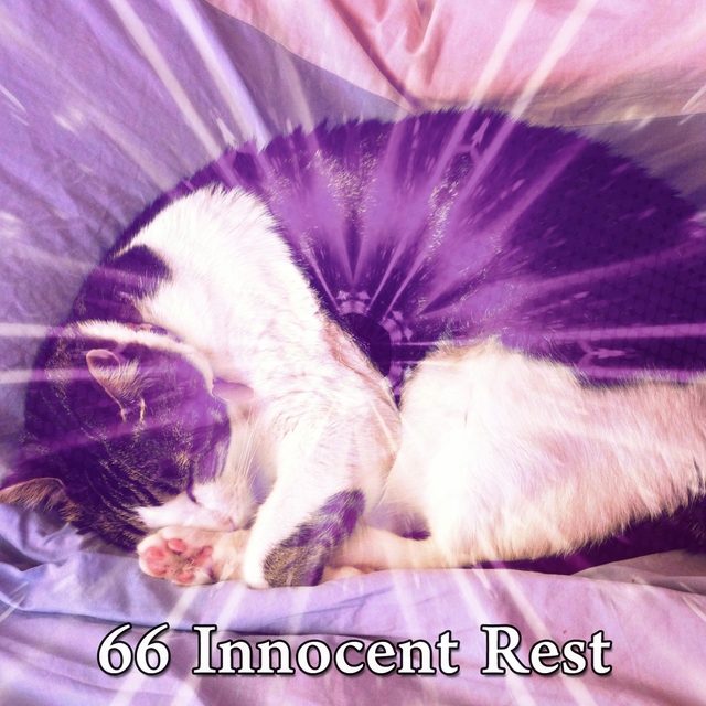 66 Innocent Rest