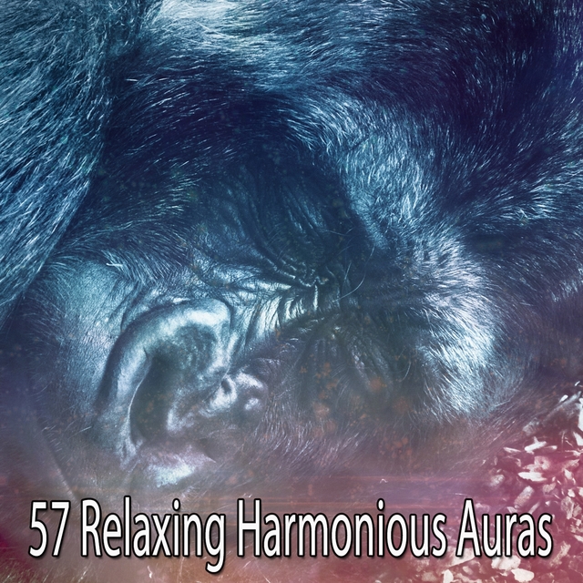 57 Relaxing Harmonious Auras