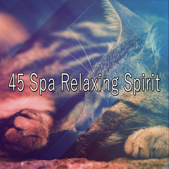 45 Spa Relaxing Spirit