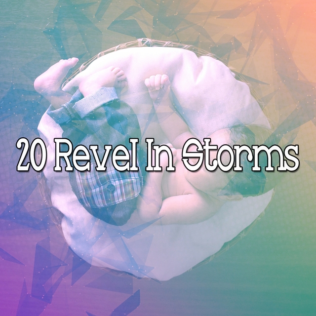 20 Revel In Storms