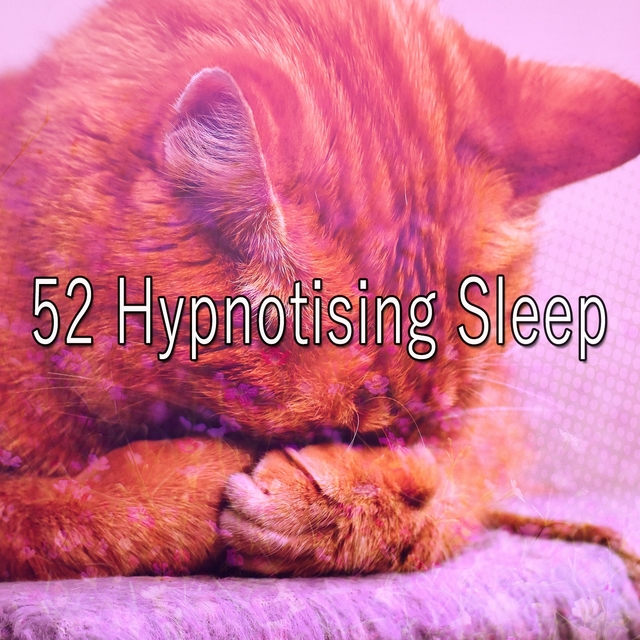 52 Hypnotising Sleep