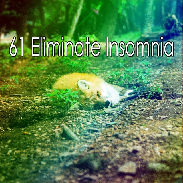 61 Eliminate Insomnia