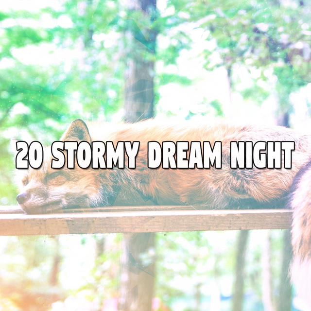 20 Stormy Dream Night