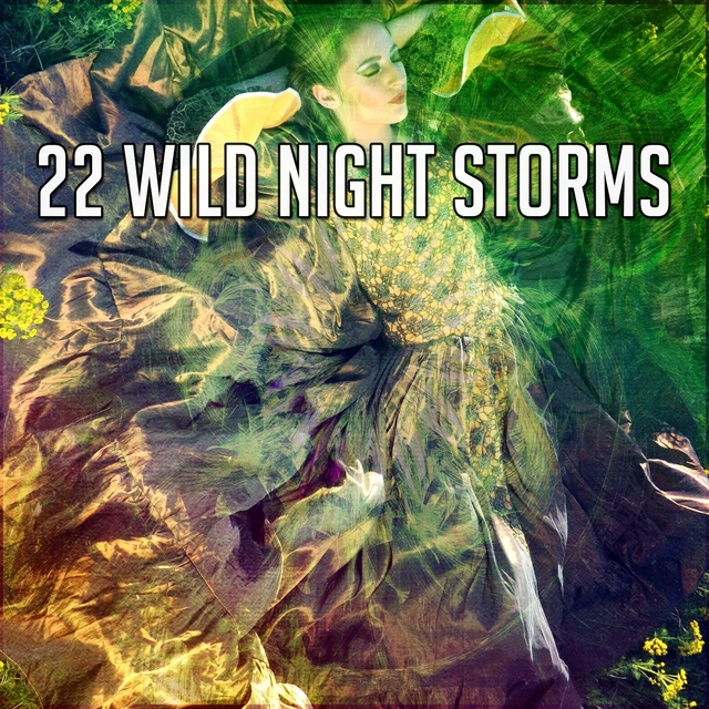 Couverture de 22 Wild Night Storms