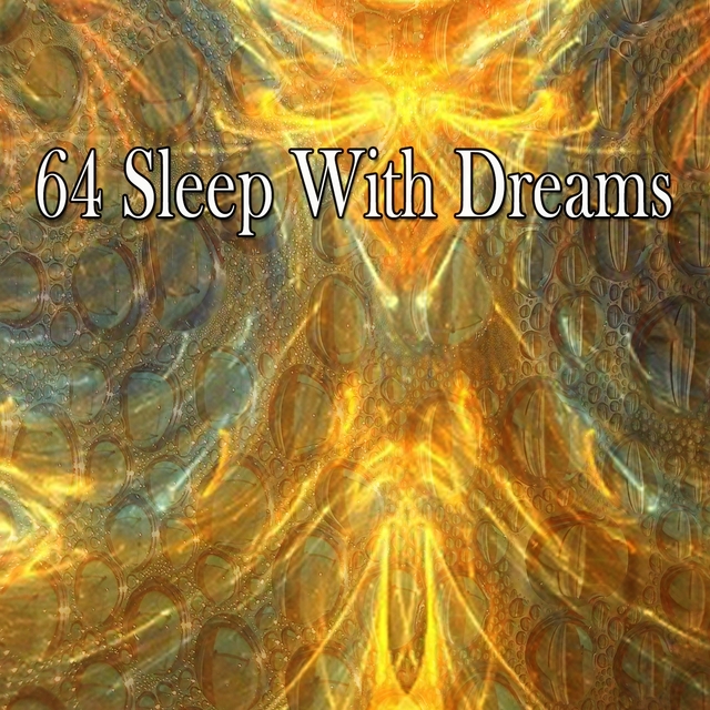 Couverture de 64 Sleep With Dreams