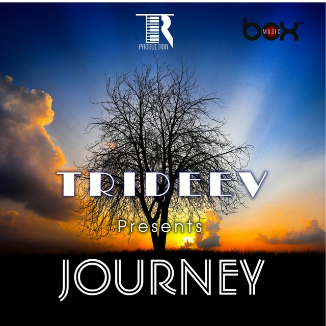 Couverture de Journey