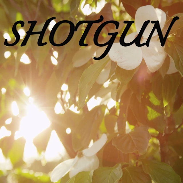 Shotgun / Tribute to George Ezra