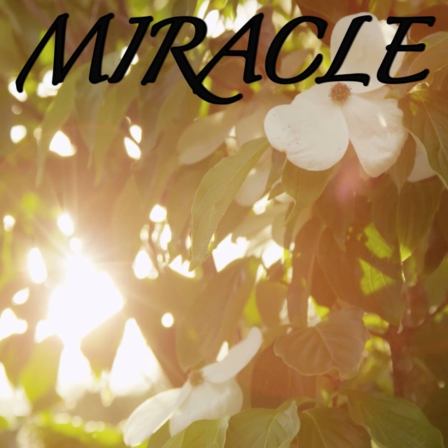 Miracle / Tribute to Chvrches