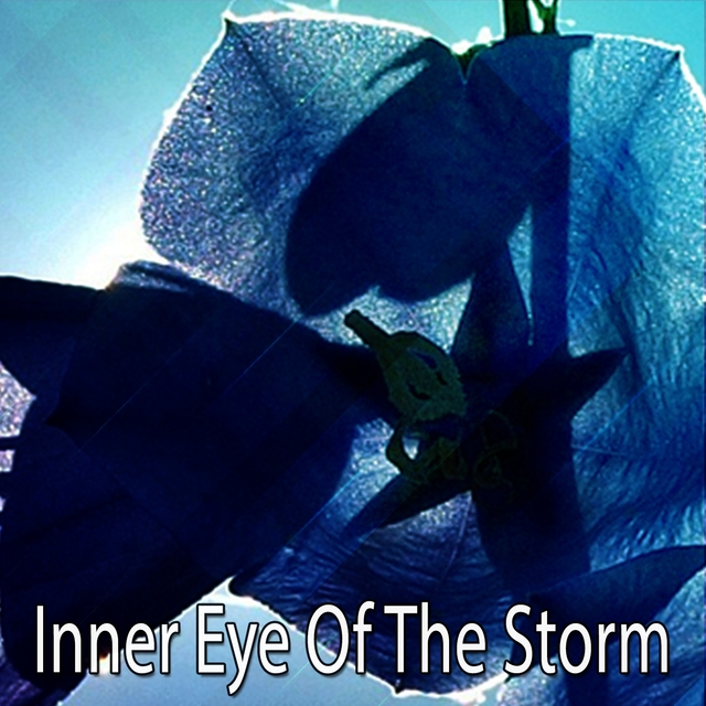 Inner Eye Of The Storm