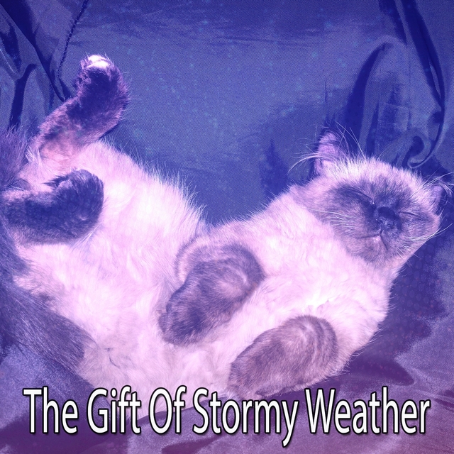 Couverture de The Gift Of Stormy Weather