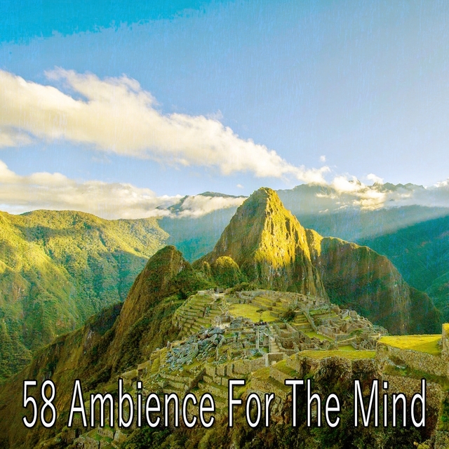 58 Ambience For The Mind