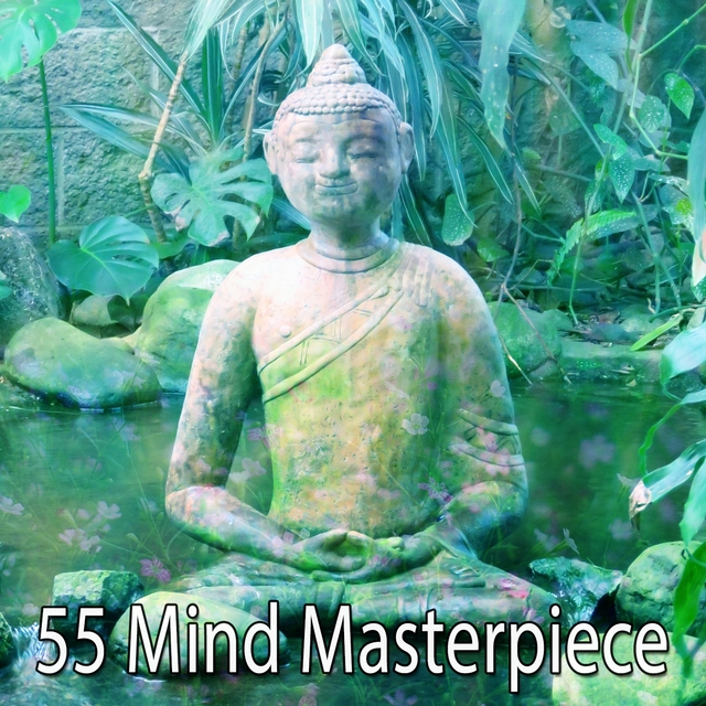 Couverture de 55 Mind Masterpiece