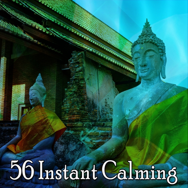 Couverture de 56 Instant Calming