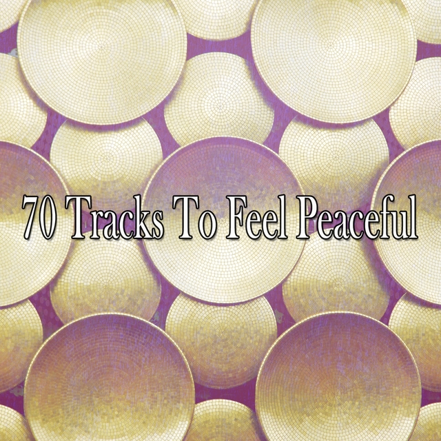 Couverture de 70 Tracks To Feel Peaceful