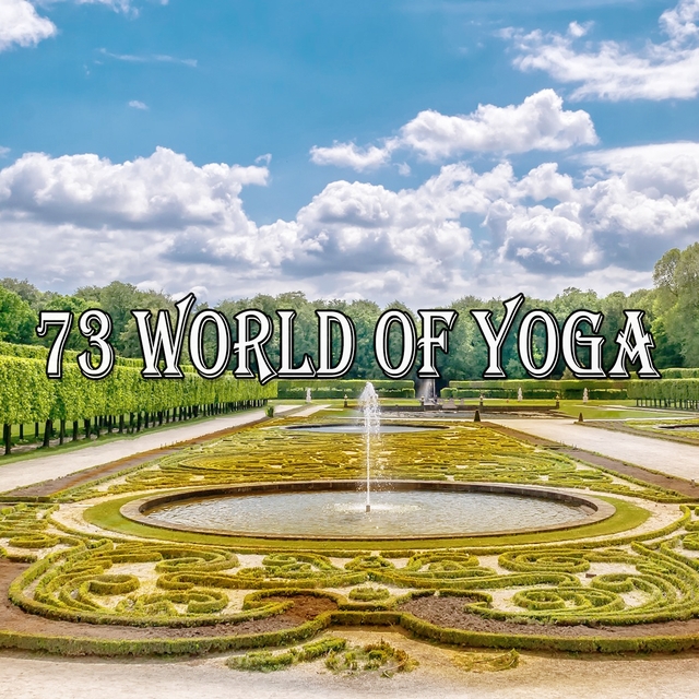 Couverture de 73 World Of Yoga