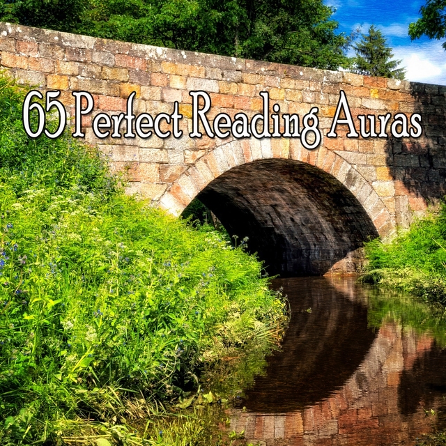 65 Perfect Reading Auras