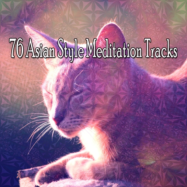 Couverture de 76 Asian Style Meditation Tracks