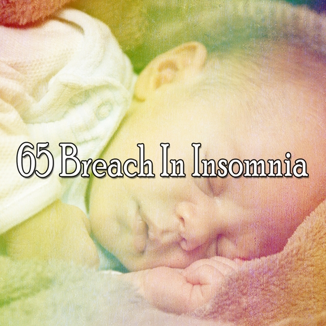 Couverture de 65 Breach In Insomnia