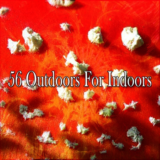 56 Outdoors For Indoors