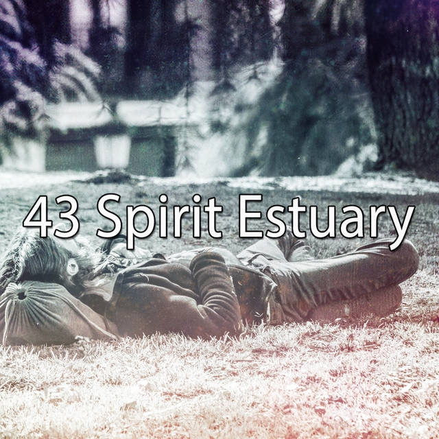 Couverture de 43 Spirit Estuary