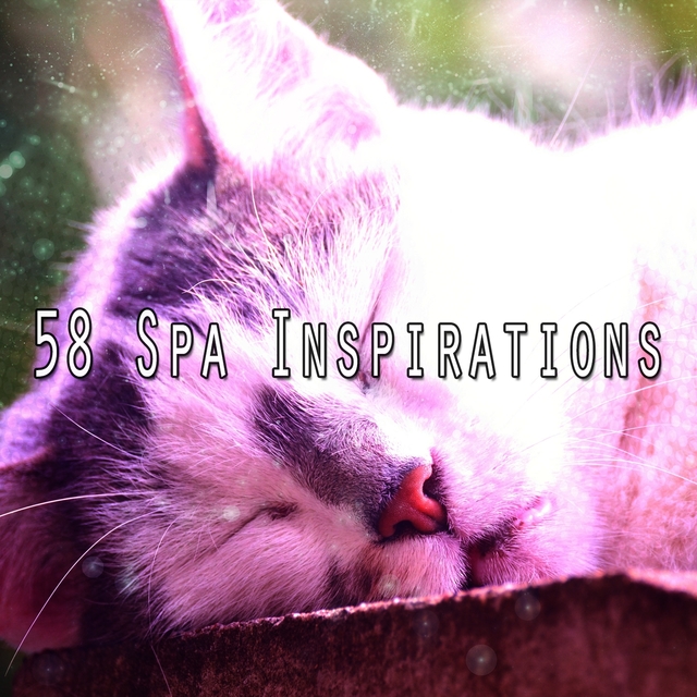 Couverture de 58 Spa Inspirations