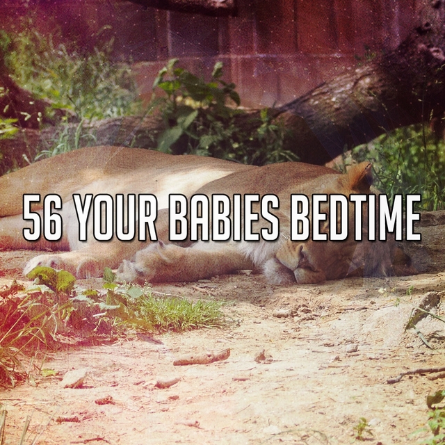 Couverture de 56 Your Babies Bedtime