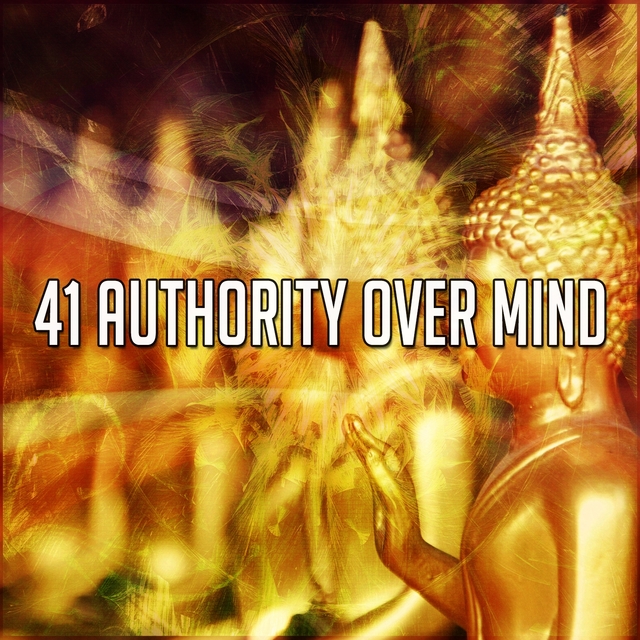 Couverture de 41 Authority Over Mind