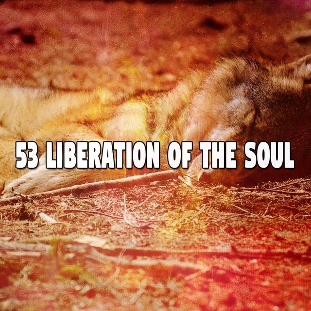 Couverture de 53 Liberation Of The Soul