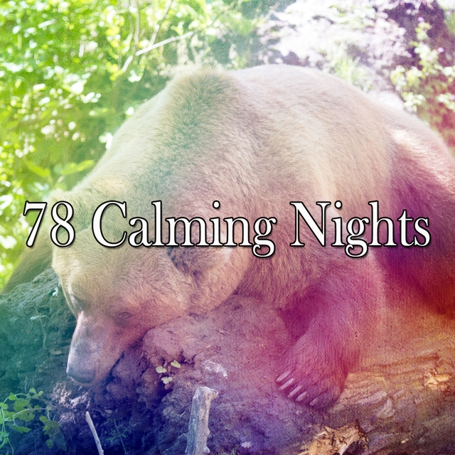 Couverture de 78 Calming Nights