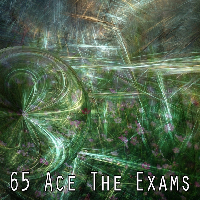 Couverture de 65 Ace The Exams