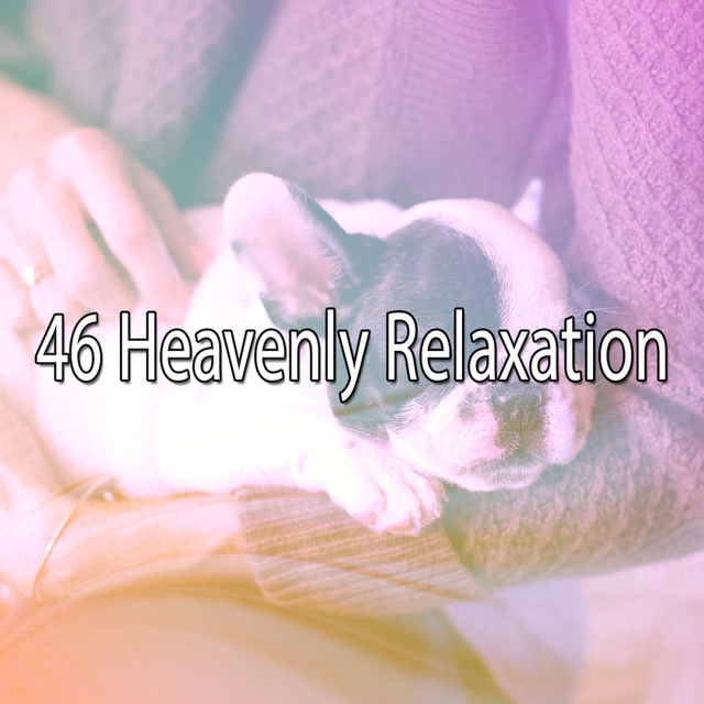Couverture de 46 Heavenly Relaxation