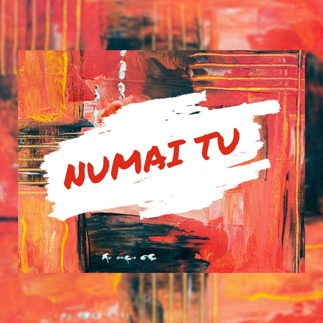 Couverture de Numai Tu