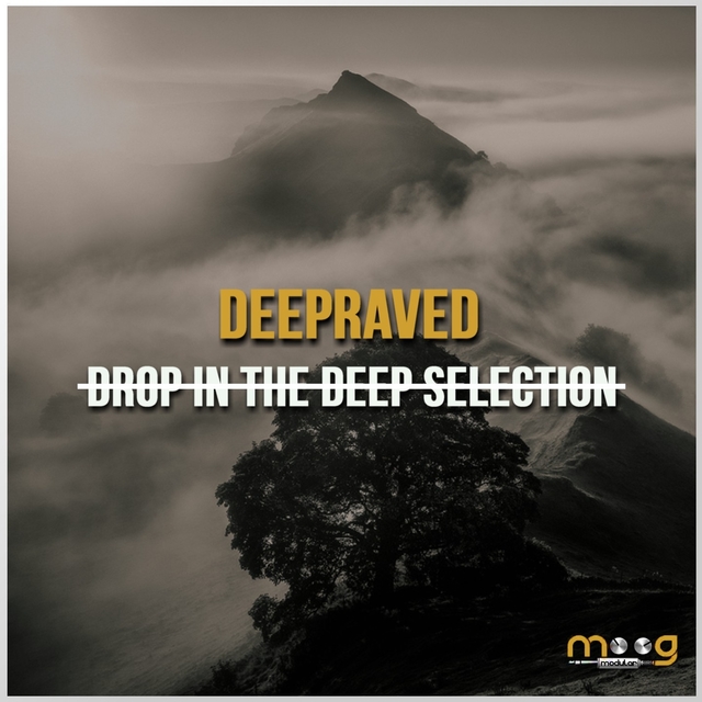 Couverture de Drop in the Deep Selection