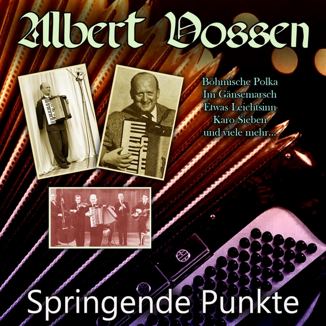 Couverture de Springende Punkte