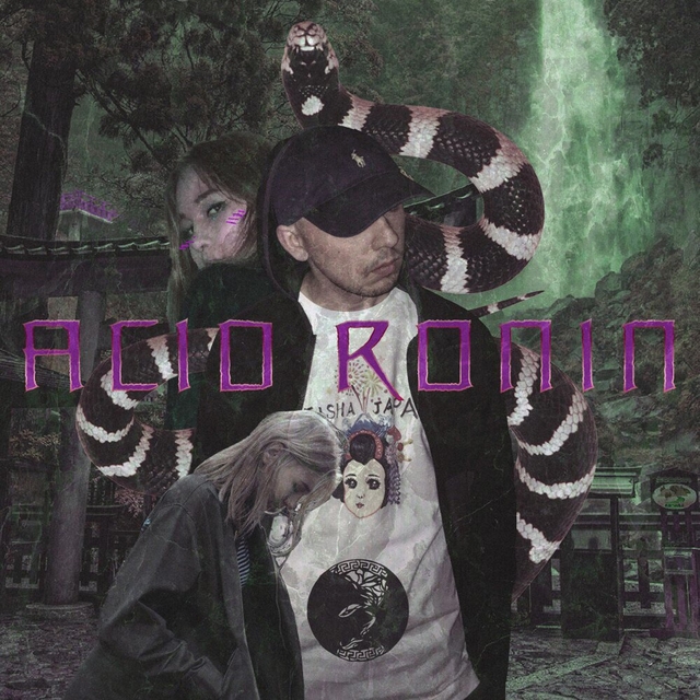 Couverture de Acid Ronin