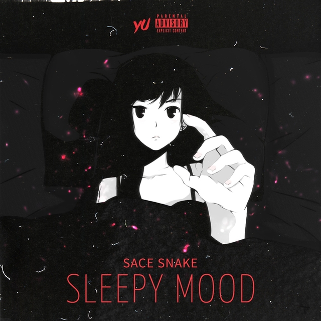 Couverture de Sleepy Mood