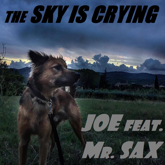 The Sky Is Crying