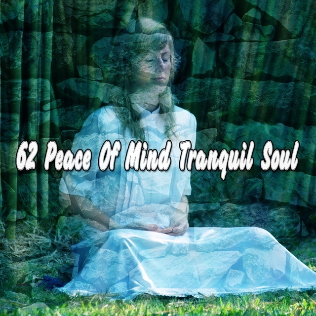 Couverture de 62 Peace Of Mind Tranquil Soul