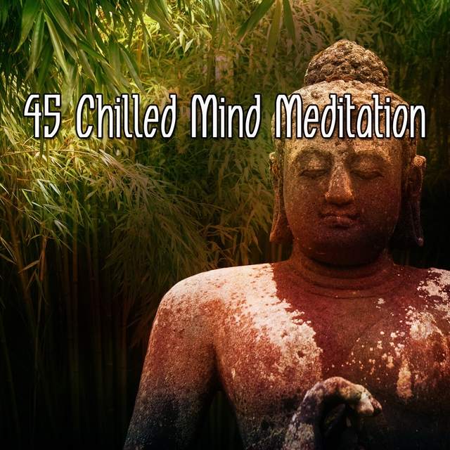 Couverture de 45 Chilled Mind Meditation