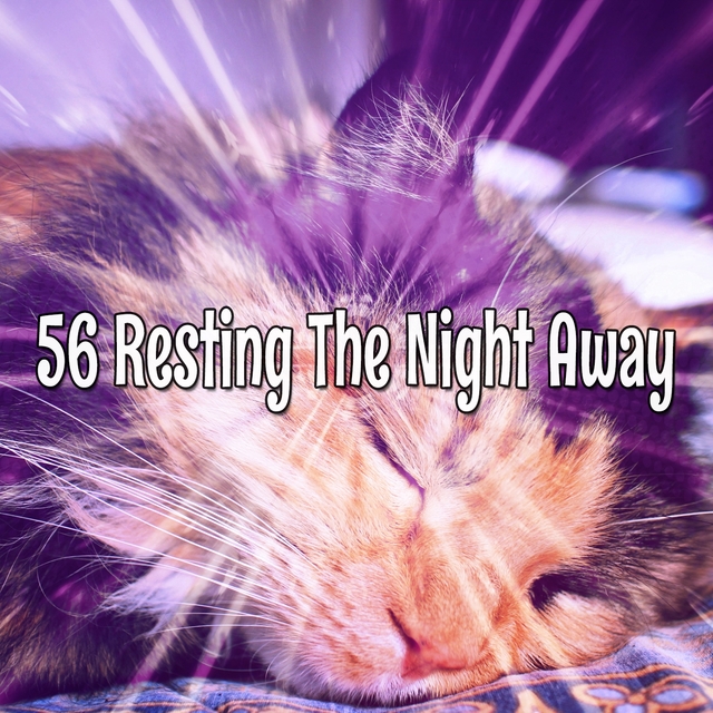 Couverture de 56 Resting The Night Away