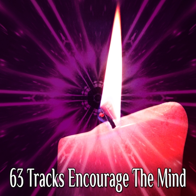 Couverture de 63 Tracks Encourage The Mind