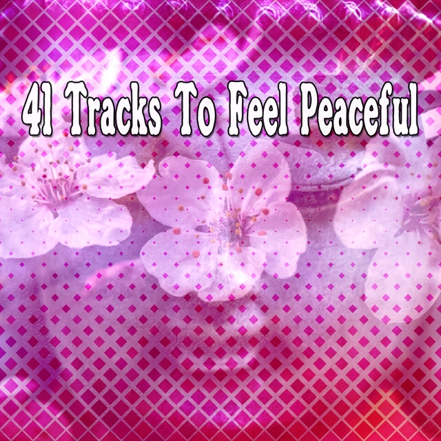 Couverture de 41 Tracks To Feel Peaceful