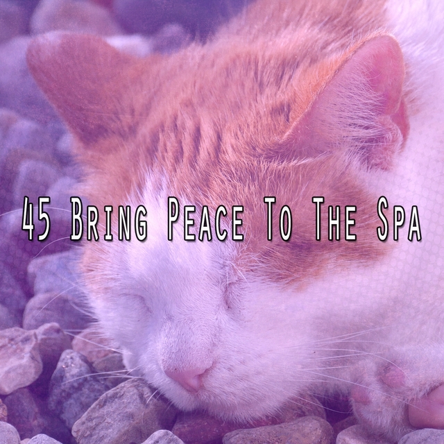 Couverture de 45 Bring Peace To The Spa