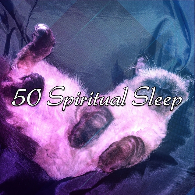 Couverture de 50 Spiritual Sleep