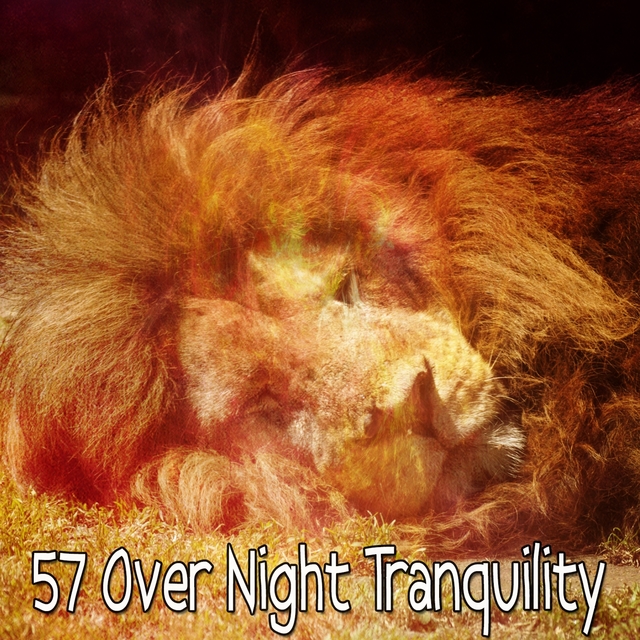 Couverture de 57 Over Night Tranquility