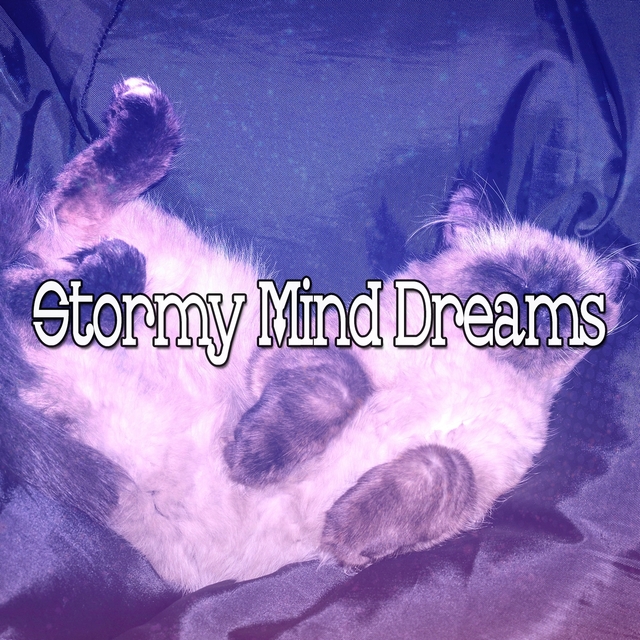 Couverture de Stormy Mind Dreams