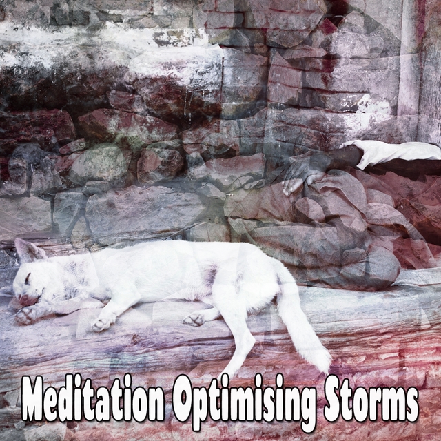 Couverture de Meditation Optimising Storms