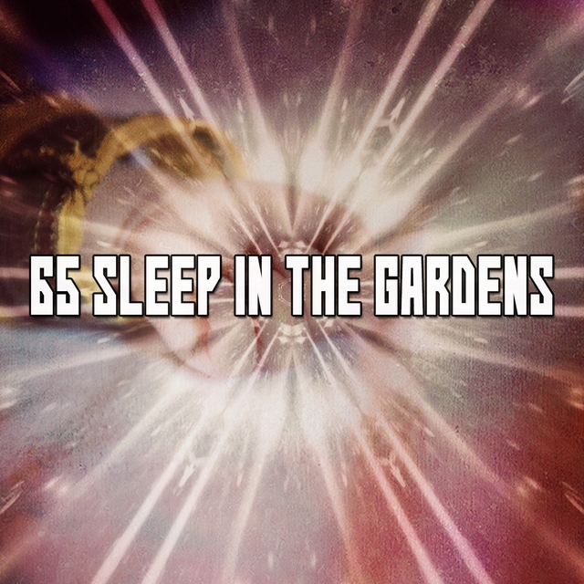 Couverture de 65 Sleep In The Gardens