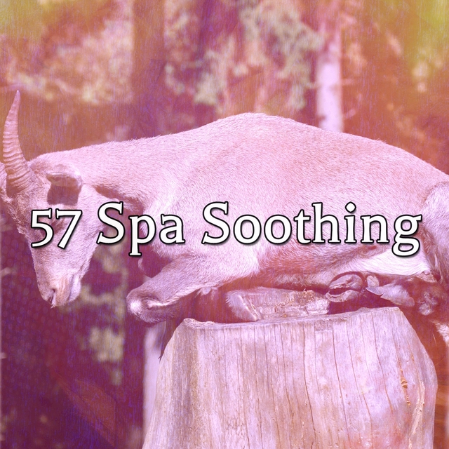 Couverture de 57 Spa Soothing